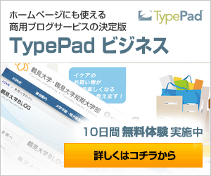 300 x 250 px　バナー 企業向けブログサービス | TypePad ビジネス